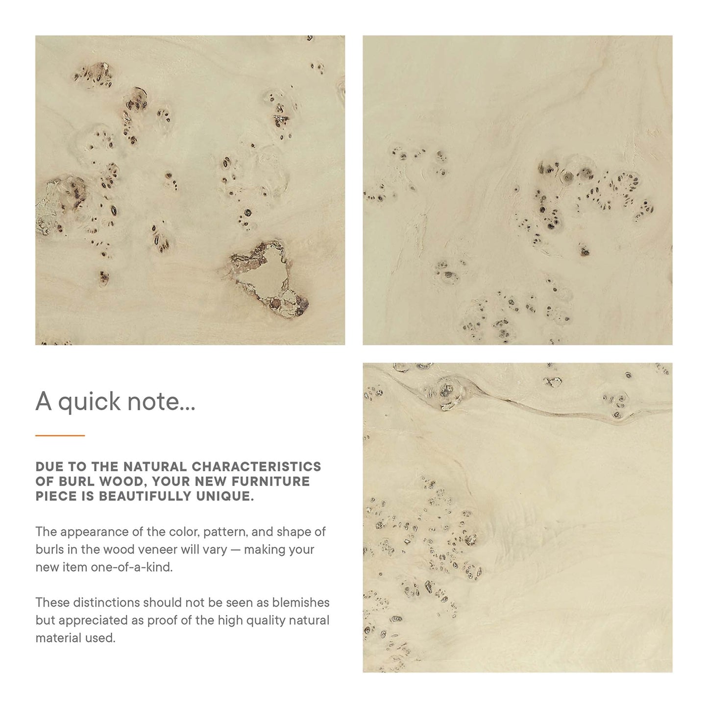 Cosmos Coffee Table in Bleached Burl