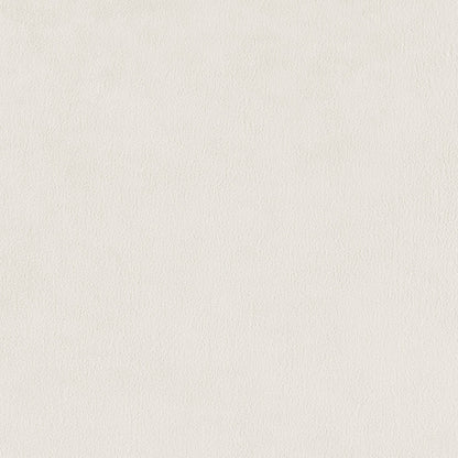 Alder Set of 2 Velvet Dining Chair in Zen White