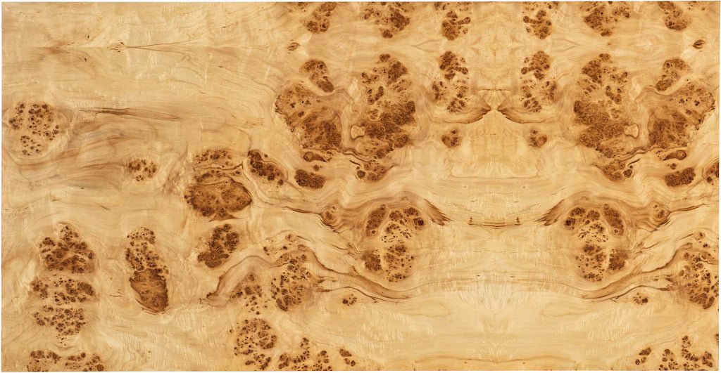 Auberon Burl Coffee Table