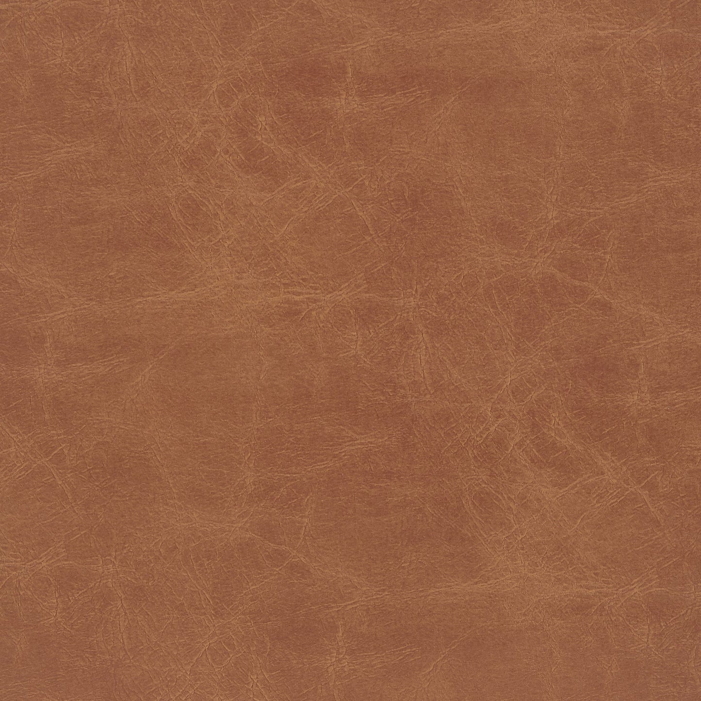 Donna Set of 2 Counter Stool in Borneo Chocolate