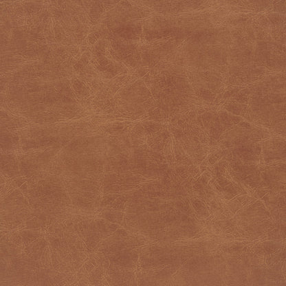 Donna Set of 2 Counter Stool in Borneo Chocolate