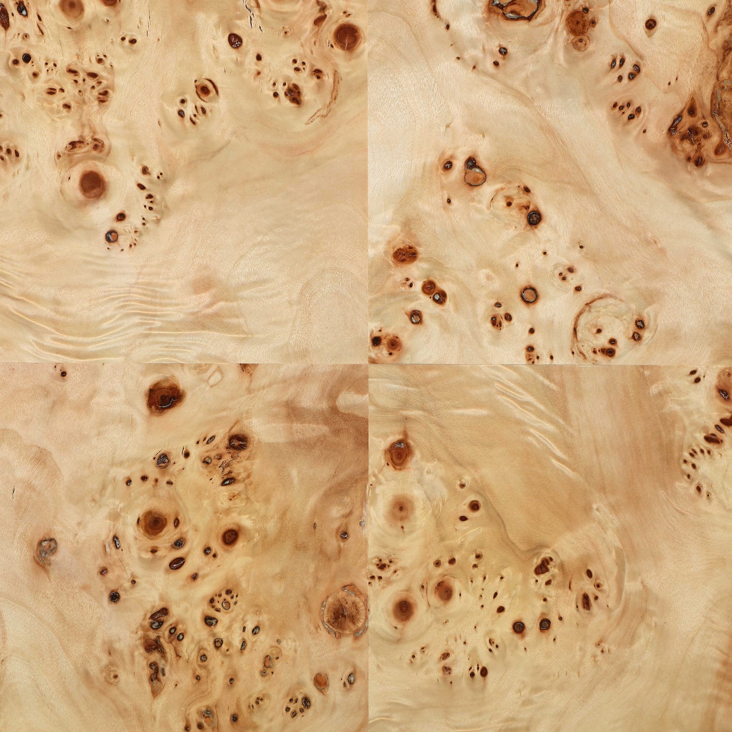 Vassa II Coffee Table