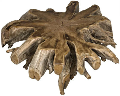 Teak Root Coffee Table