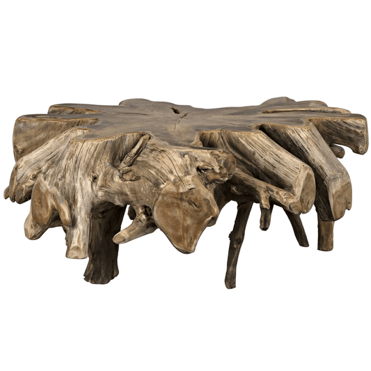 Teak Root Coffee Table